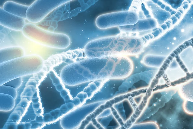 Vi Khuẩn Legionella và Phụ Nữ Mang Thai: 6 Điều Cần Biết