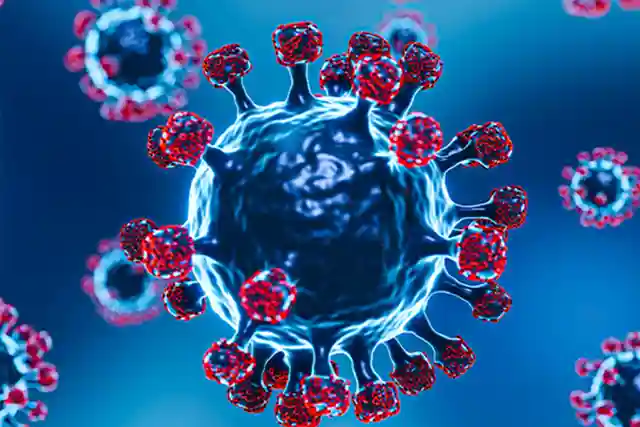 Phụ Nữ Mang Thai Và Parvovirus B19: 5 Hiểu Biết Toàn Diện